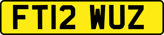 FT12WUZ