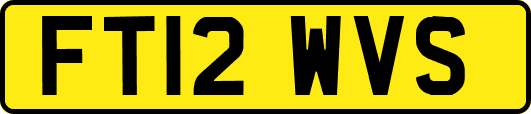 FT12WVS