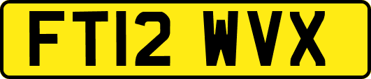 FT12WVX