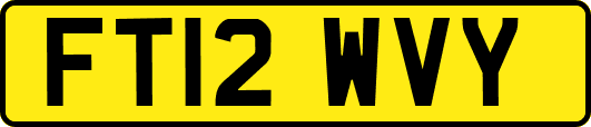FT12WVY