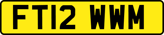 FT12WWM