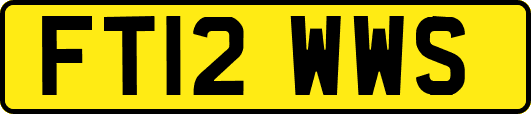 FT12WWS
