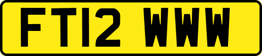 FT12WWW