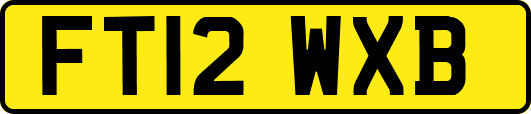 FT12WXB