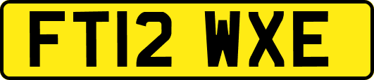 FT12WXE