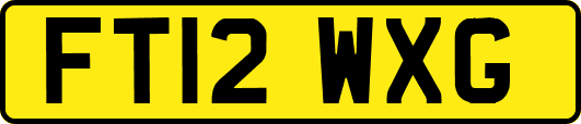 FT12WXG