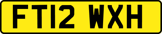 FT12WXH