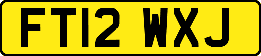 FT12WXJ