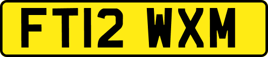 FT12WXM