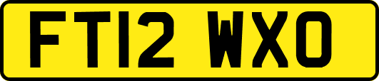 FT12WXO