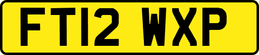 FT12WXP