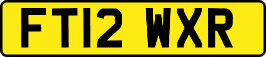 FT12WXR