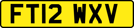FT12WXV