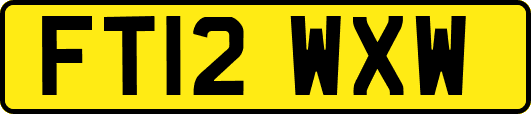 FT12WXW