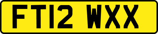 FT12WXX