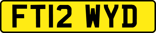FT12WYD