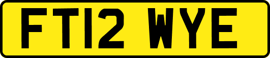 FT12WYE