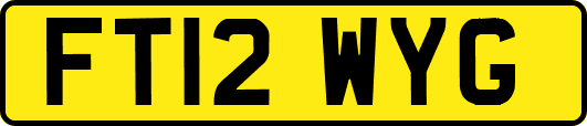FT12WYG
