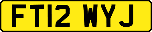 FT12WYJ