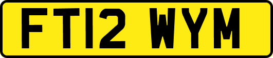 FT12WYM
