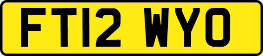 FT12WYO