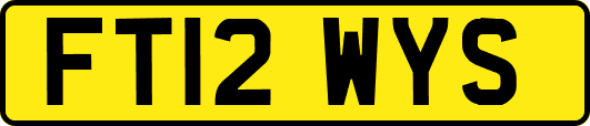 FT12WYS