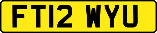 FT12WYU