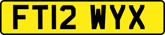 FT12WYX