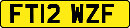 FT12WZF