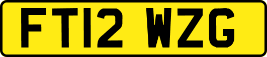 FT12WZG