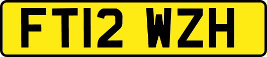FT12WZH