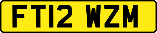 FT12WZM