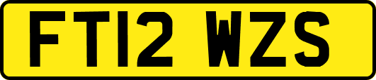FT12WZS
