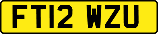 FT12WZU