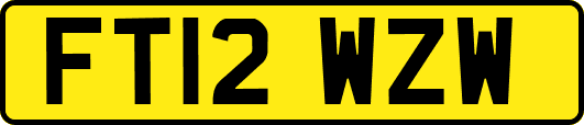 FT12WZW