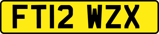 FT12WZX