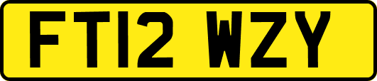 FT12WZY