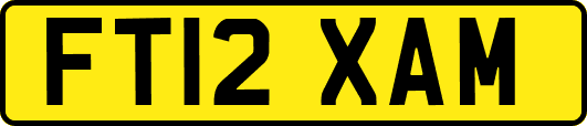 FT12XAM