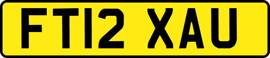 FT12XAU