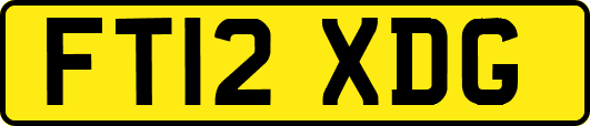 FT12XDG