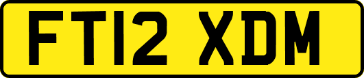 FT12XDM