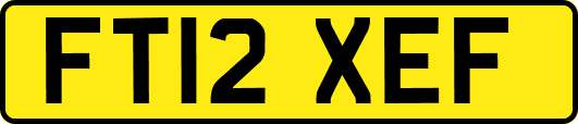 FT12XEF