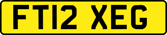 FT12XEG