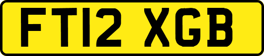 FT12XGB