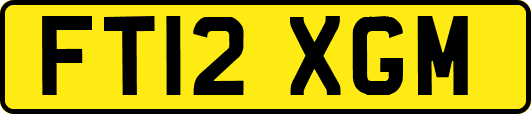 FT12XGM