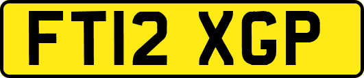 FT12XGP