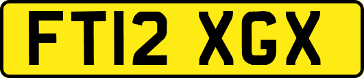 FT12XGX