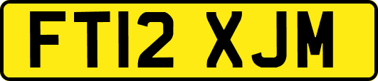 FT12XJM