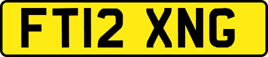 FT12XNG