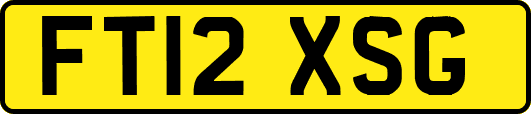 FT12XSG